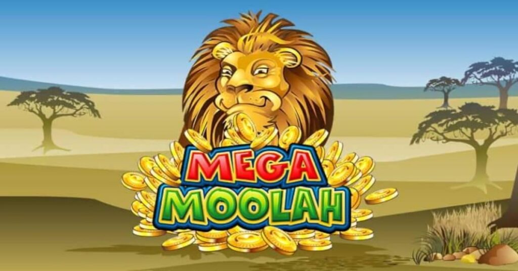 Mega CC6 Casino